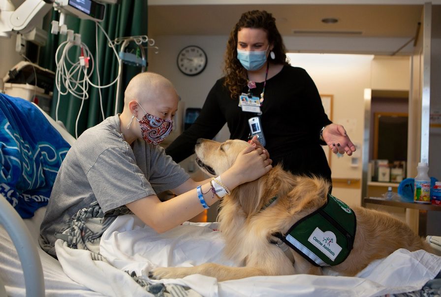 A man and woman in hospital bed with dog.