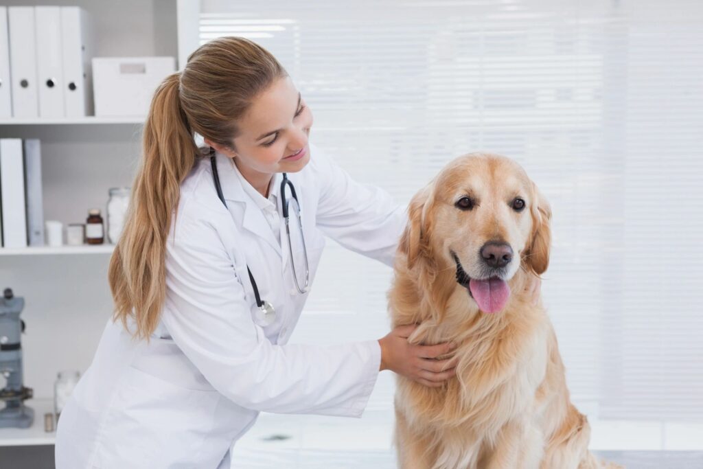 A woman in white coat petting a dog.